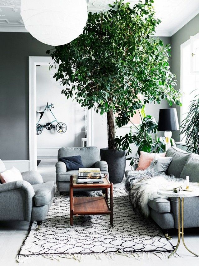 Get the Look: A Lush and Cozy Gray Living Room | MyDomaine