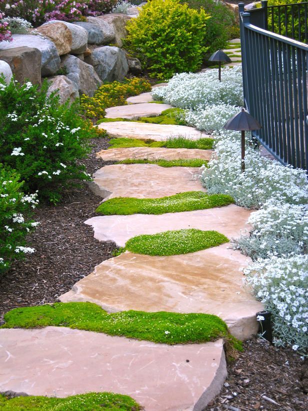 A flagstone path with ground cover in the cracks.