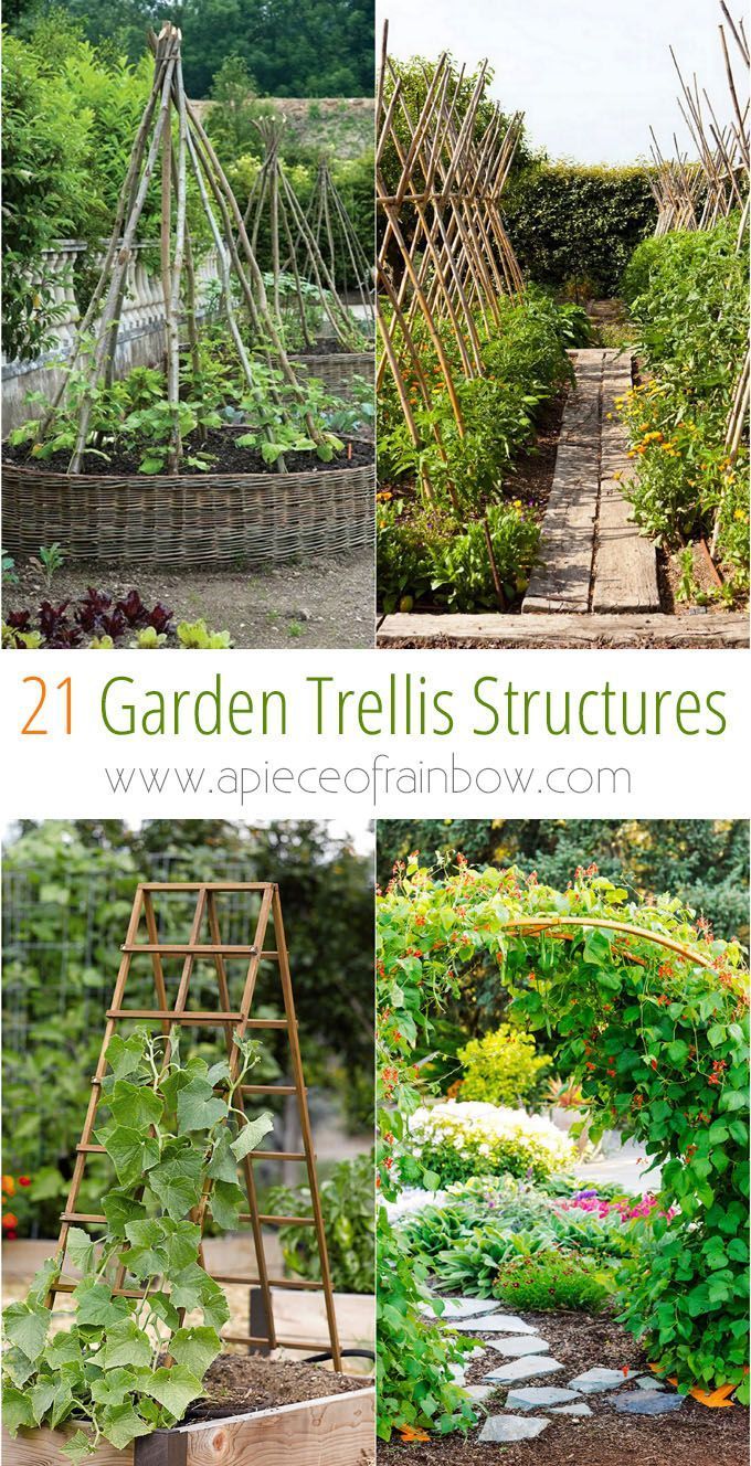 Create enchanting garden spaces with 21 beautiful and DIY friendly trellis and g...