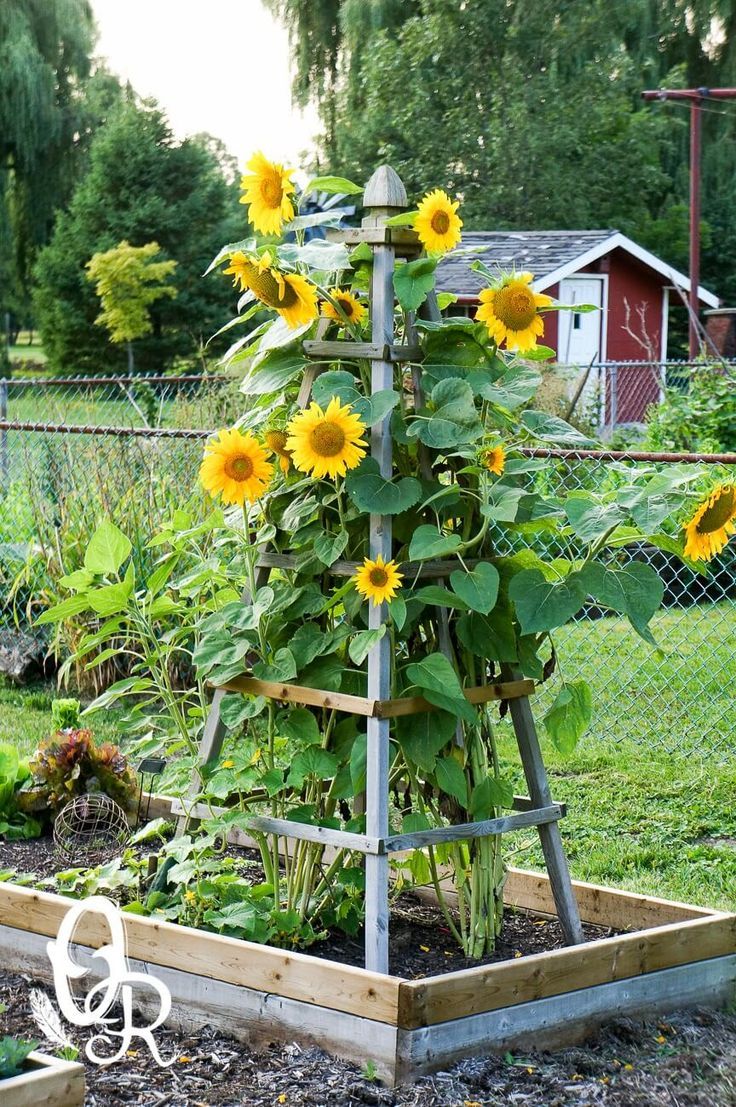 Delightfully Pretty Wooden Sunflower Pyramid