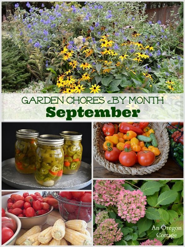Garden Chores for September: September is a great month to get some of those gar...