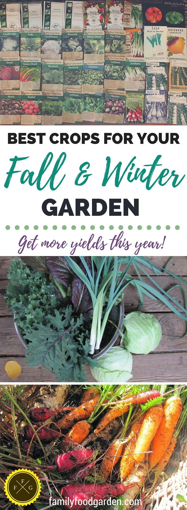 How to plan & plant your fall and winter garden