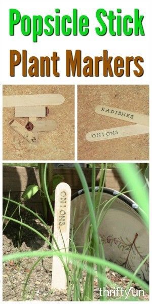 Making Popsicle Stick Plant Markers