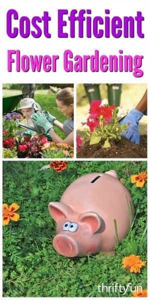 Tips for Cost Efficient Flower Gardening