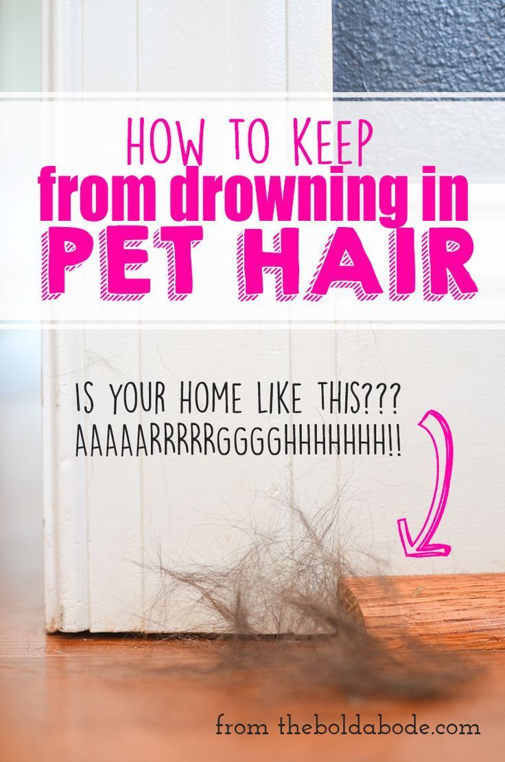 Do you have furry pets that shed buckets of fuzzy hair all over creation? Someti...