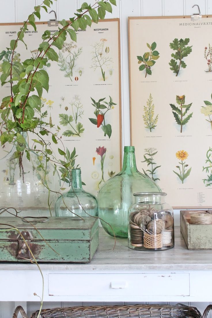 Love these botanicals combined with glass bottles Spotted on Vibeke Design