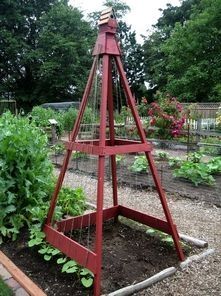 bean trellis with birdhouse. Also use it for a cucumber trellis.