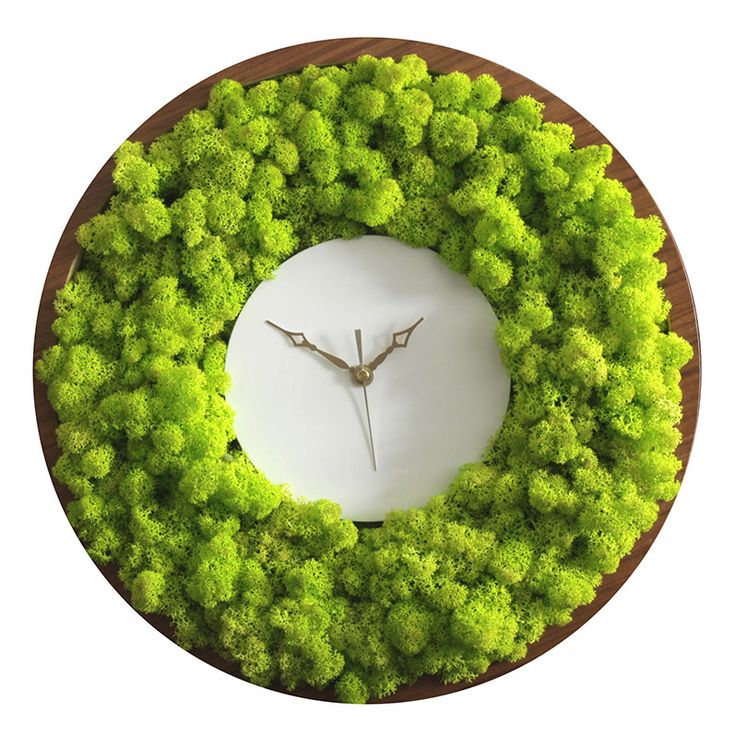 - Moss clock by Anastrophe @ Objetik