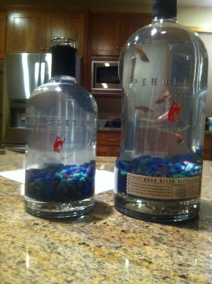 Pendleton Whiskey bottle fish tanks