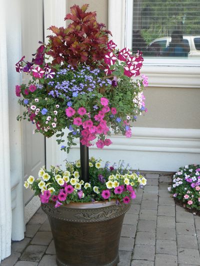 Convert Your  Large Pots into a stunning 2-level display on your patio, poolside...