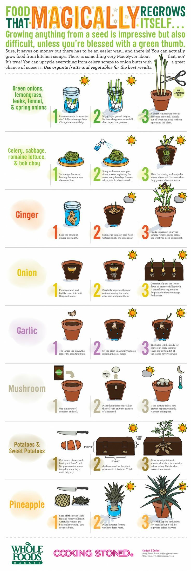 These are 20 clever must save gardening tips & hacks to use in the garden.   How...