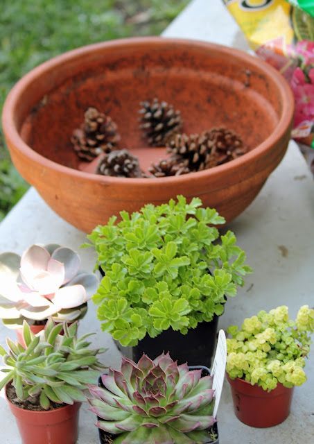 use pinecones in the bottom of a pot - makes them much lighter, better draining,...
