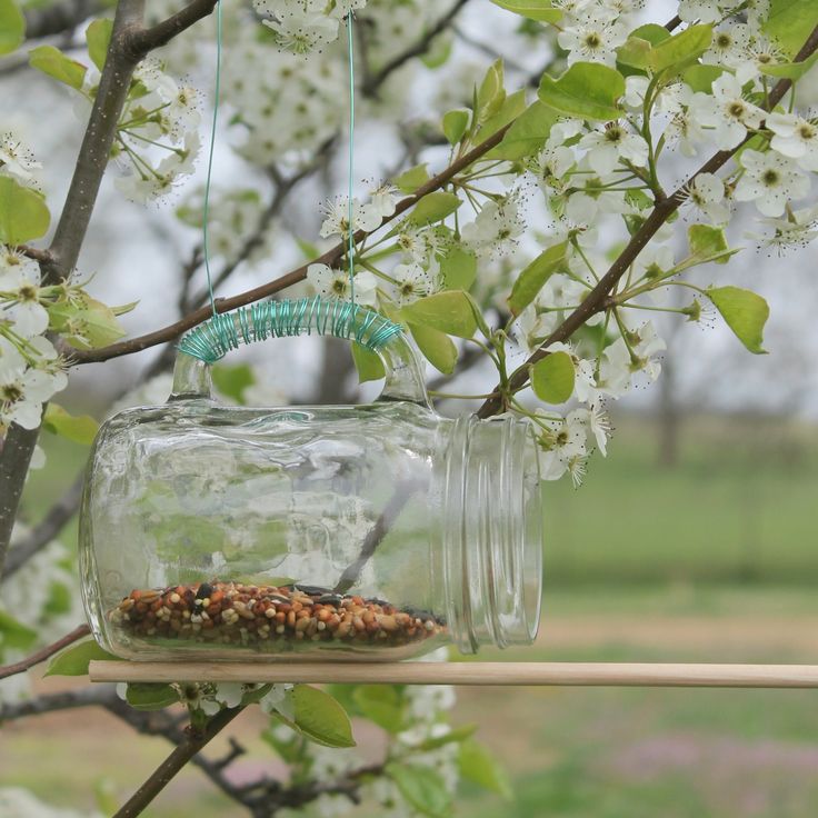 Mason Jar Bird Feeder -- take a mason jar glass and make a fun bird feeder in ju...