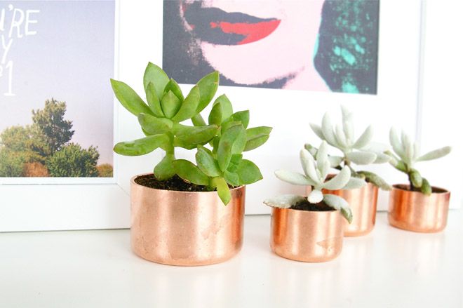 Copper Pipe Caps as Tiny Planters