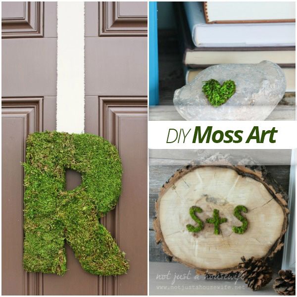DIY Moss Art