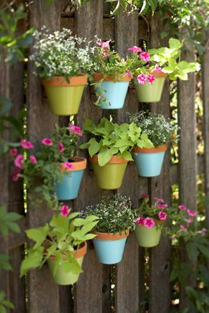 wall planters.. wonder if they would dry out?