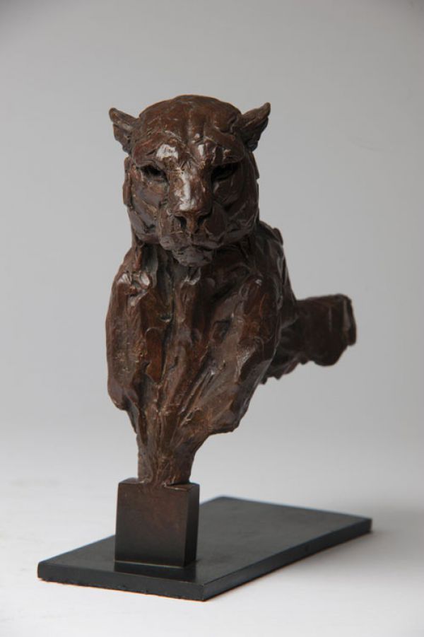 Bronze Cats Wild and Big Cats sculpture by artist David Mayer titled: 'Leopa...