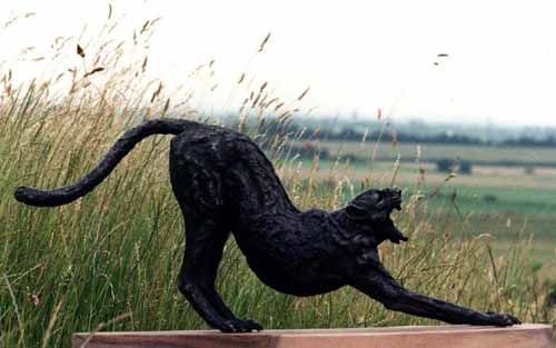 Bronze Cats Wild and Big Cats sculpture by artist Jan Sweeney titled: 'Big Y...