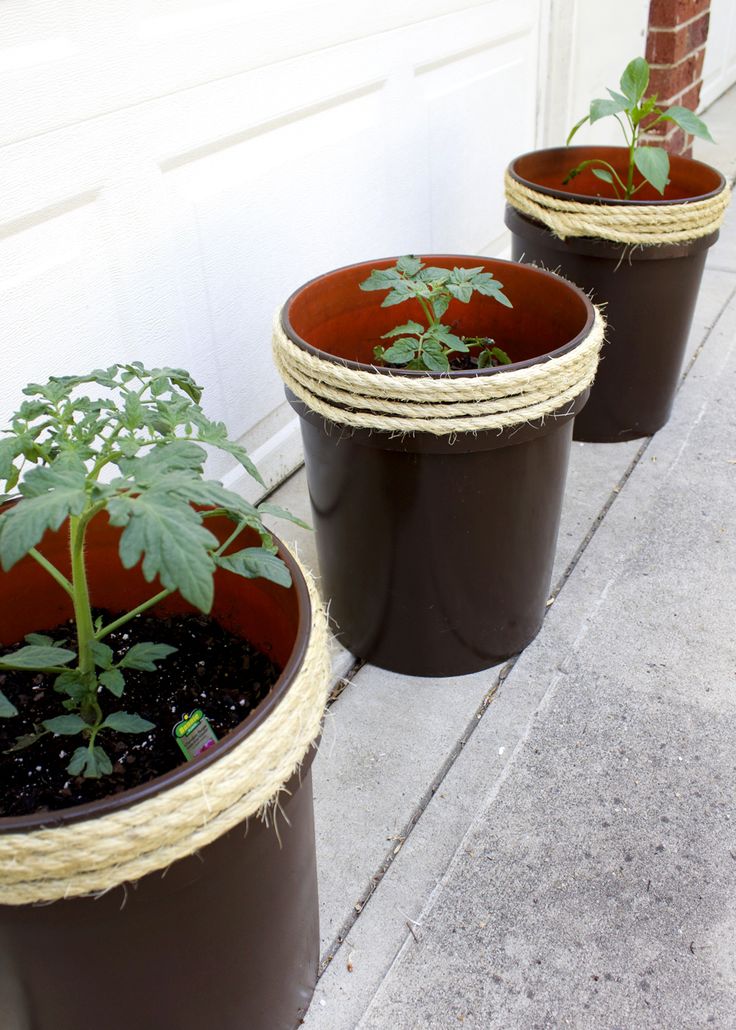 How to Make a Planter From a 5 Gallon Bucket — Tag & Tibby