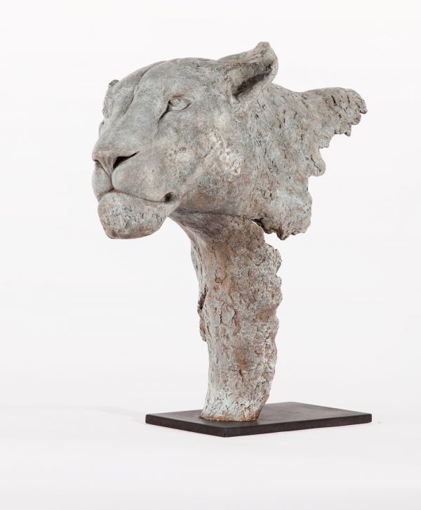 #Bronze #sculpture by #sculptor Florence JACQUESSON titled: 'White Lioness'. #Fl...