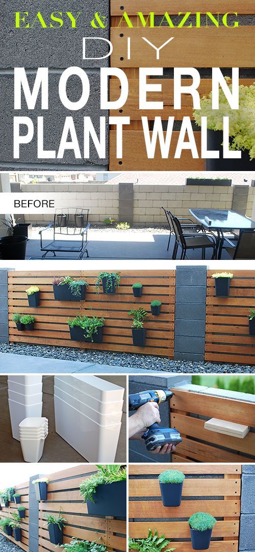 Easy & Amazing Modern DIY Living Plant Wall