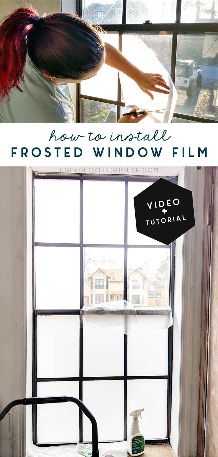 How I Installed Frosted Window Film — and Got the Dog to Stop Barking!