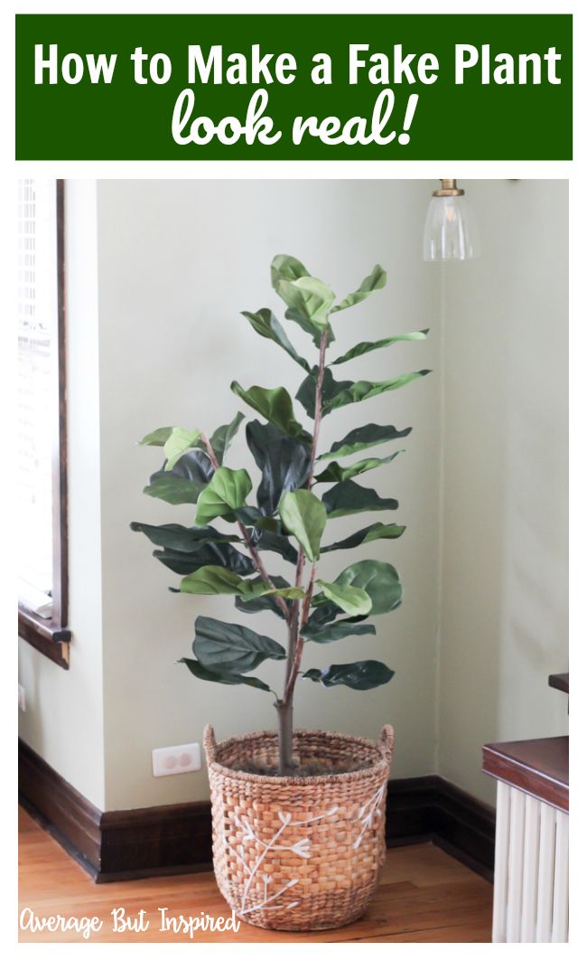 How to Make a Fake Fiddle Leaf Fig Tree Look Real