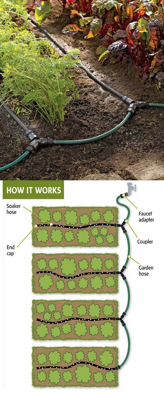 Garden Row Snip-n-Drip Soaker System lets you create a convenient watering syste...