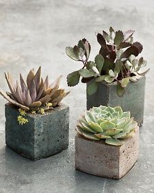 Pots with a Personal Touch: Hypertufa