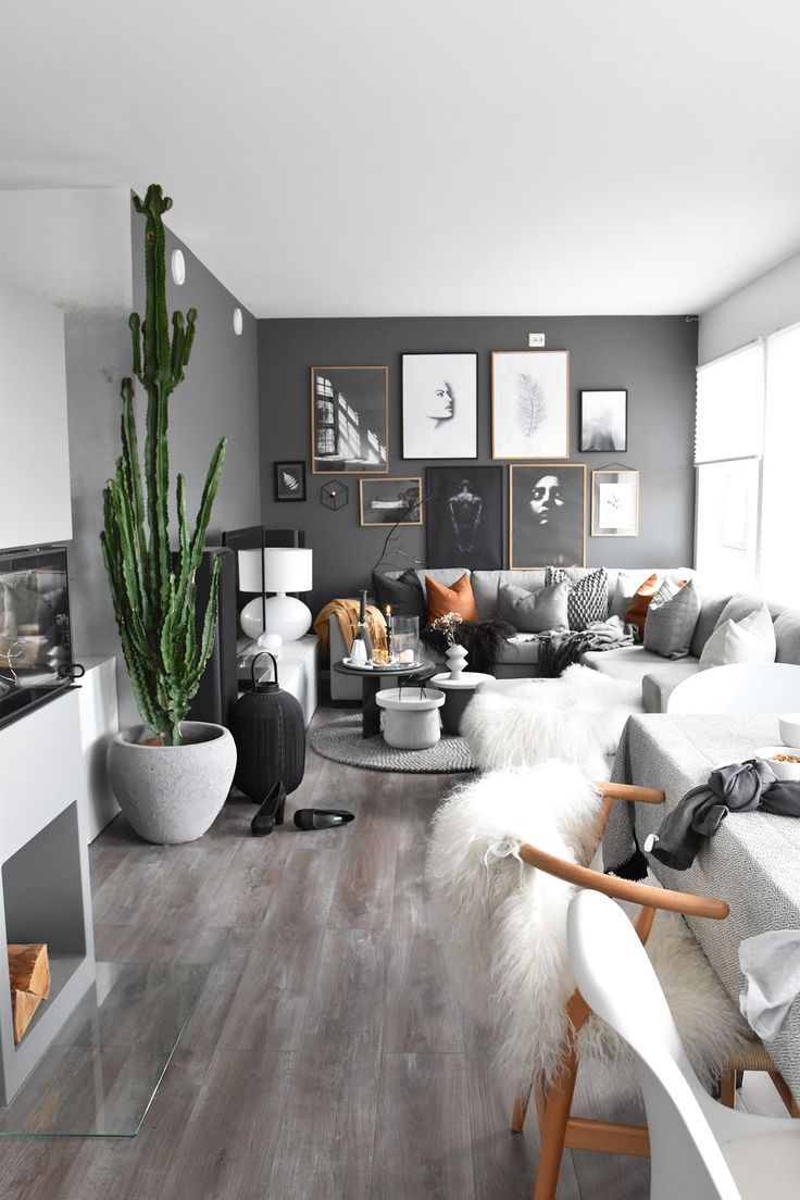 Dark grey black wall living room idea with indoor plants and amazing wall art
