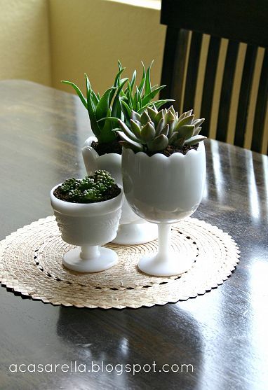 Succulents in Thrifted Milk Glass