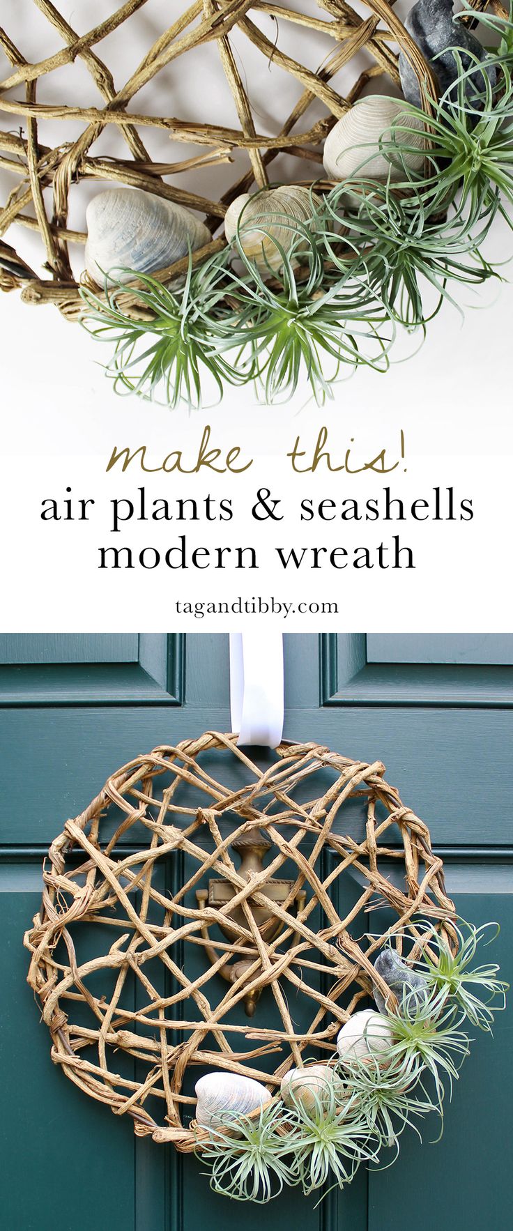 Make This Air Plant Wreath with Seashells