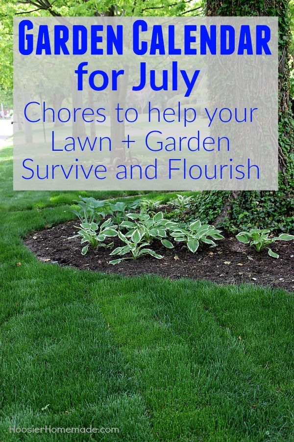 The Garden Calendar for July is packed with chores that will make your lawn and ...