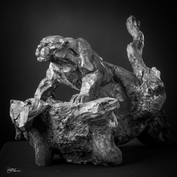#Bronze #sculpture by #sculptor Stephane Deguilhen titled: 'Lioness on the Looko...