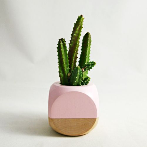 BLUSH + WOOD GEOMETRIC SUCCULENT PLANTER available to purchase in the decor8 sho...