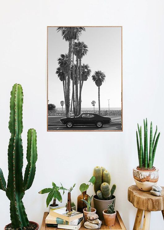 Bring a little bit of California into your home with California Palm and Cactus ...