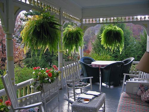 So Southern....hanging ferns on the porch