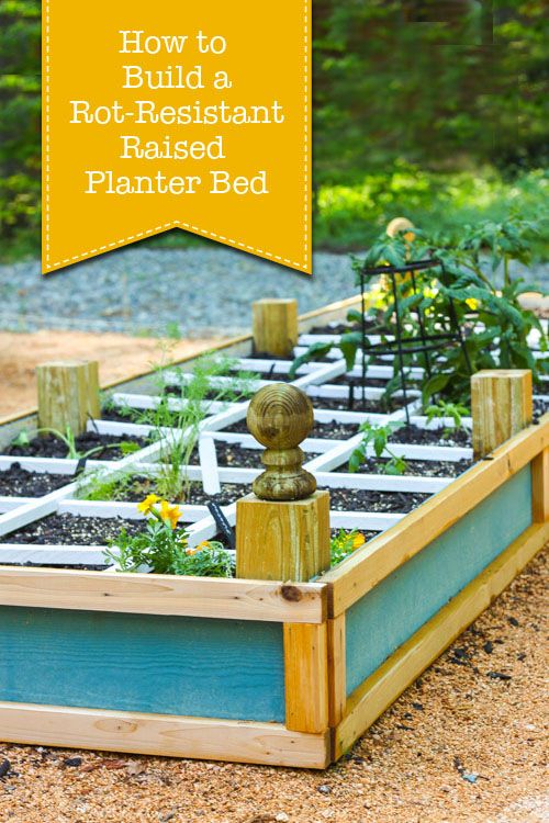 Want to build a rot-resistant raised planter bed that's beautiful as well as sturdy?