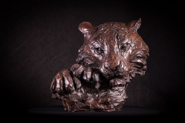 'Killing Time (Bronze Resting Tiger Head Bust statue sculpture for sale)' by Matt Withington