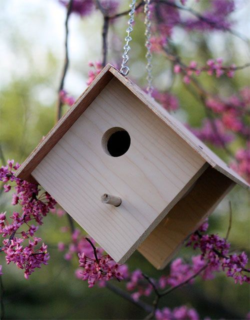 How to build a wooden birdhouse.