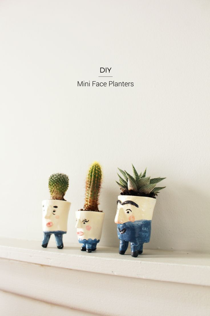 DIY Mini Face Planters