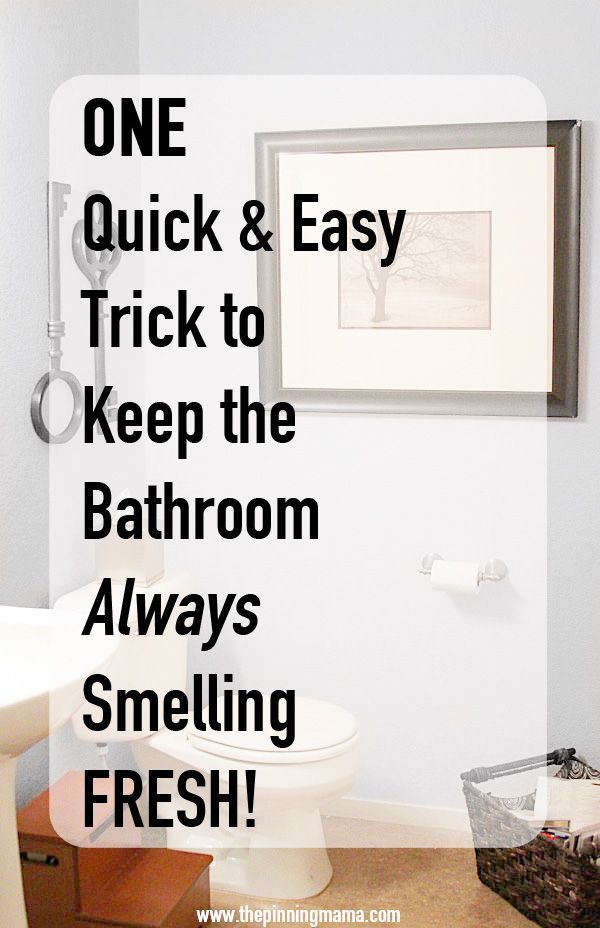 How to Freshen Your Bathroom Air Naturally| thepinningmama.com