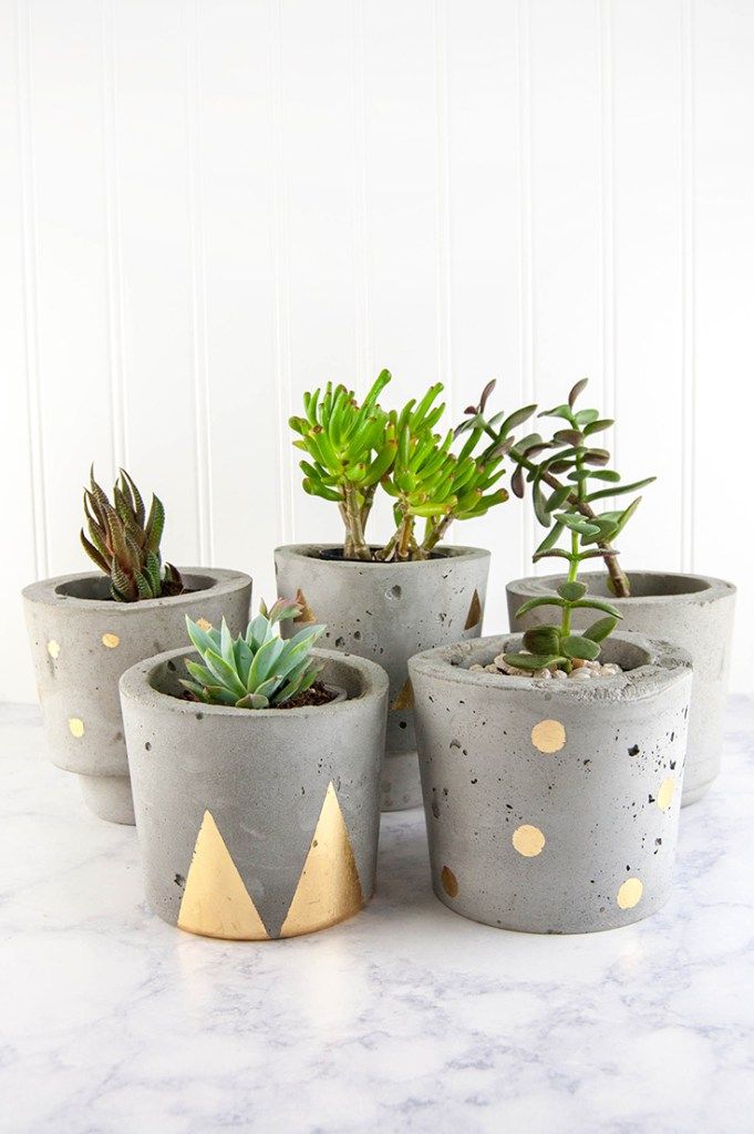 Make Concrete and Gold DIY Plant Pots