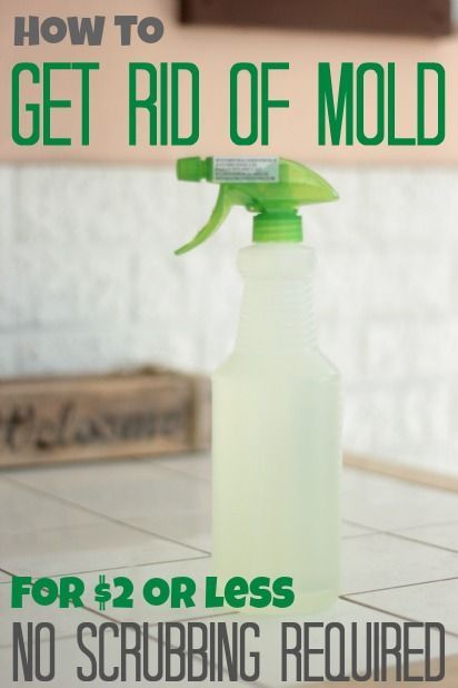 how to get rid of mold for $2 or less, no scrubbing required
