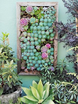 These Vertical Gardens Are Perfect for Small Spaces