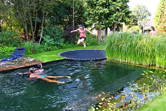 Pool disguised as pond with in ground trampoline as a faux diving board