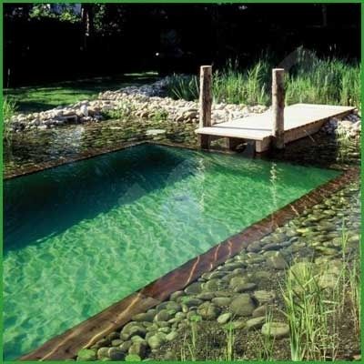 would be cute idea to have a small pier instead of a diving board on a regular s...