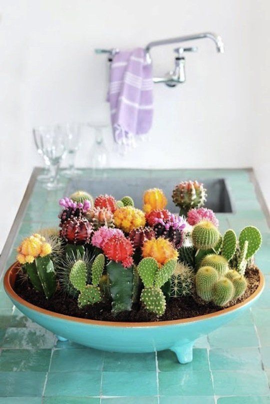 Craftaholics Anonymous® | A bowl of art! DIY your cactus garden to bring life t...