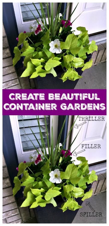 Container Garden Tips - Thriller, Filler, Spiller Method