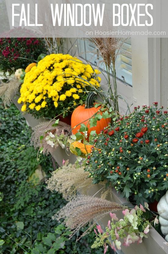 Fall Outdoor Decorating | How to Decorate Window Boxes | on HoosierHomemade.com